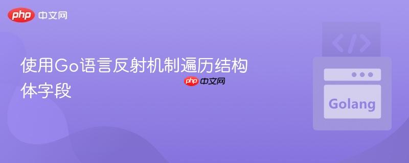 使用go语言反射机制遍历结构体字段
