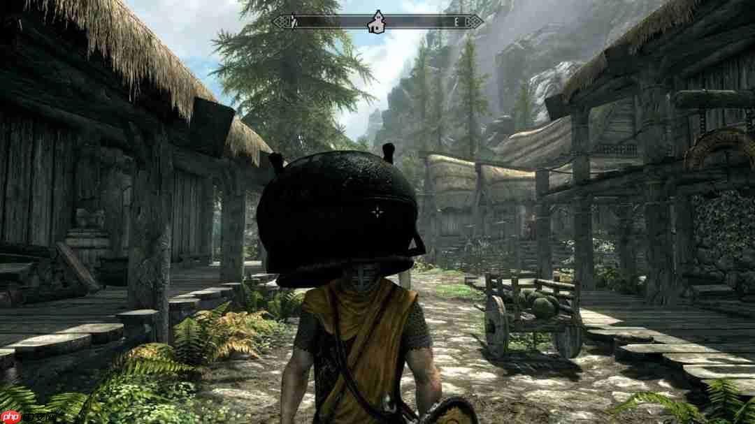 开发人员都未曾设想! 《上古卷轴5》套桶偷窃技巧实为bug