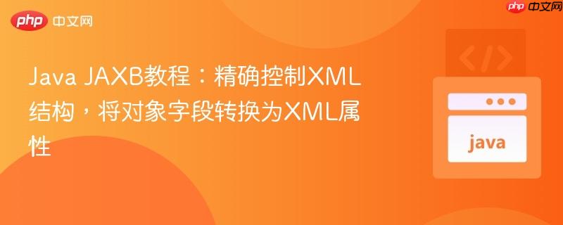 Java JAXB教程:精确控制XML结构,将对象字段转换为XML属性