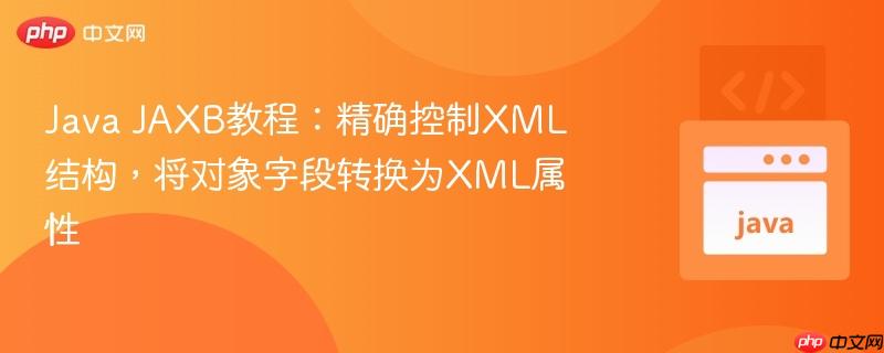 Java JAXB教程：精确控制XML结构，将对象字段转换为XML属性