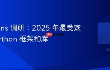 JetBrains 调研：2025 年最受欢迎的 Python 框架和库
