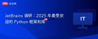 JetBrains 调研：2025 年最受欢迎的 Python 框架和库