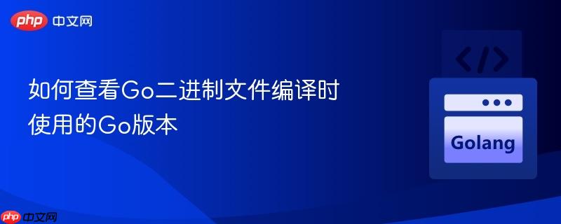 如何查看Go二进制文件编译时使用的Go版本