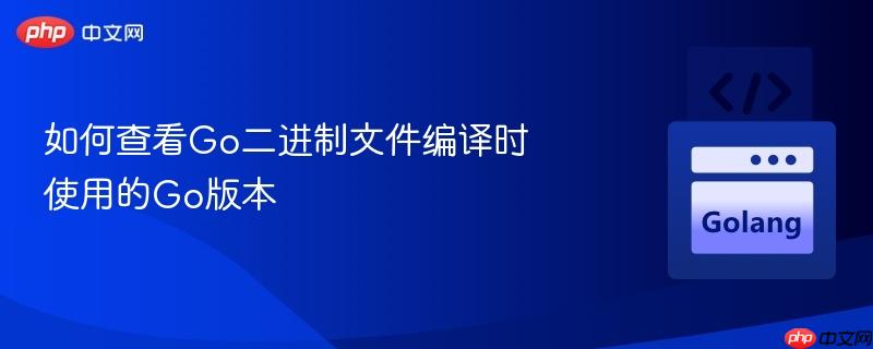 如何查看Go二进制文件编译时使用的Go版本