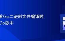 如何查看Go二进制文件编译时使用的Go版本