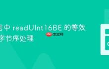 Go 语言中 readUInt16BE 的等效实现与字节序处理