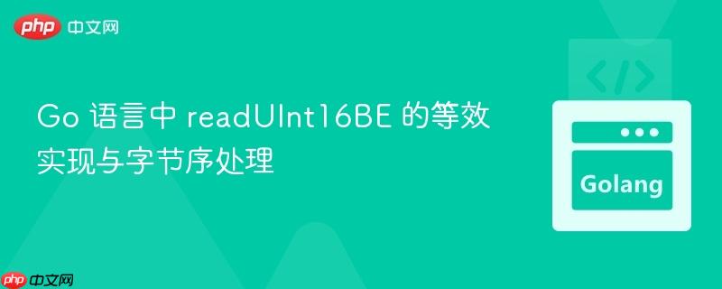 Go 语言中 readUInt16BE 的等效实现与字节序处理
