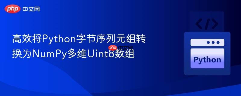 高效将python字节序列元组转换为numpy多维uint8数组