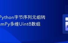 高效将Python字节序列元组转换为NumPy多维Uint8数组