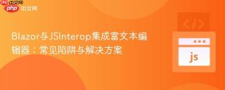 Blazor与JSInterop集成富文本编辑器：常见陷阱与解决方案