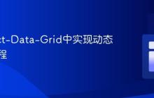 在React-Data-Grid中实现动态列的教程