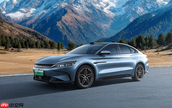 盘点今年全球新能源品牌销量 特斯拉被中国品牌包围