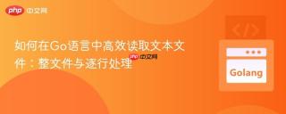如何在Go语言中高效读取文本文件：整文件与逐行处理