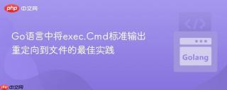 Go语言中将exec.Cmd标准输出重定向到文件的最佳实践