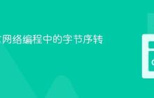 Go语言网络编程中的字节序转换