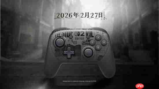 任天堂《生化9》限定手柄公布!还有女主专属amiibo