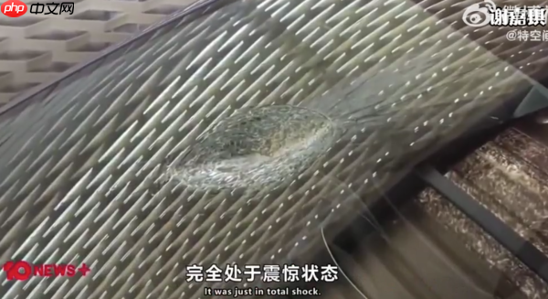 特斯拉回应Model Y被陨石击中:最高优先级是确保安全