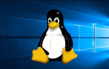 Win10停服转向Linux可行 近90%游戏都可以运行