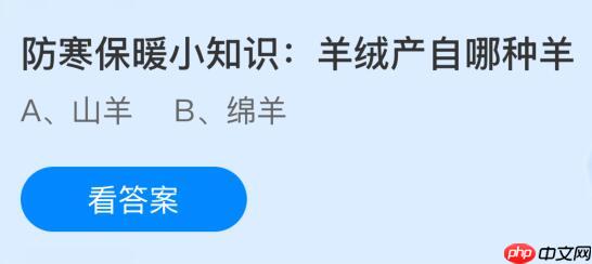 防寒保暖小知识:羊绒产自哪种羊?蚂蚁庄园课堂今天答案最新10月31日