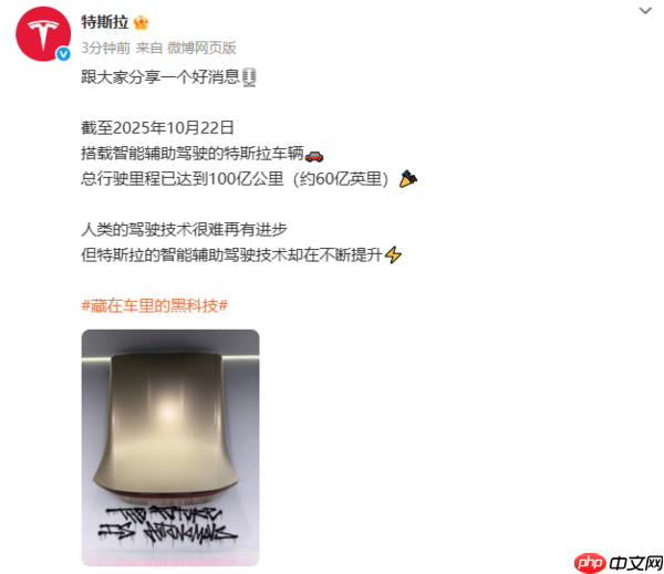 特斯拉：辅助驾驶里程达100亿公里 智驾技术不断提升