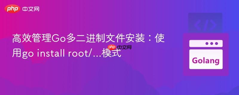 高效管理go多二进制文件安装:使用go install root/...模式
