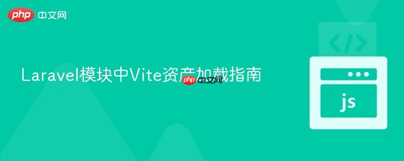 laravel模块中vite资产加载指南