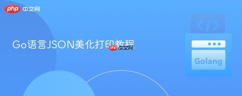 Go语言JSON美化打印教程