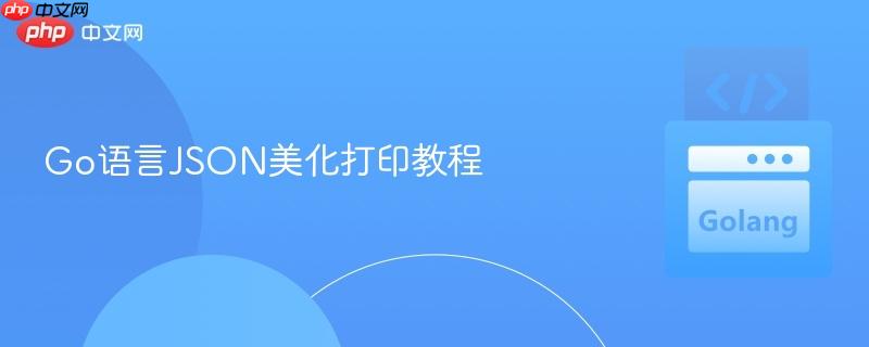 Go语言JSON美化打印教程