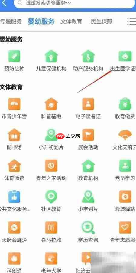 出生医学证明办理流程