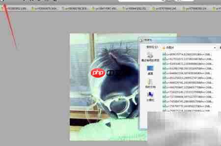 舞蝶飞创意照片反相教程
