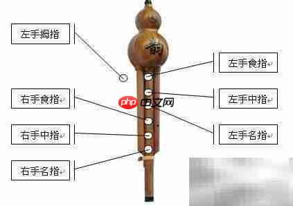 甜蜜蜜葫芦丝简明教程