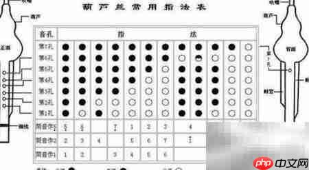 甜蜜蜜葫芦丝简明教程