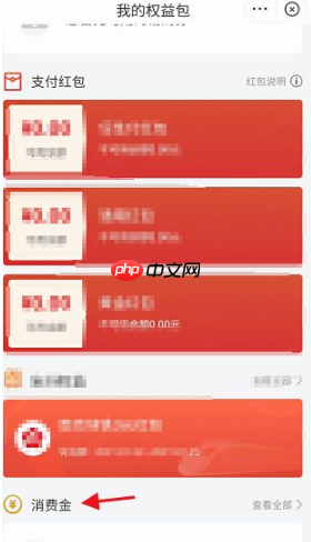 《苏宁易购》消费金查看方法