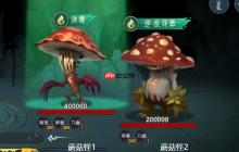 《长生：天机降世》九幽试炼之蘑菇怪行动模式及阵容推荐