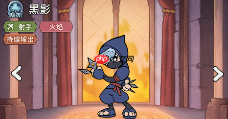 《冒险之星》精英英雄黑影图鉴