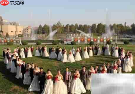 All of them是什么意思