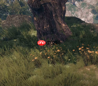 《下一站江湖2》松木获取攻略