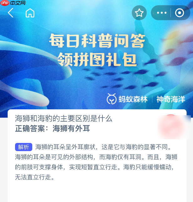 海狮和海豹的主要区别是什么