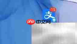 支付宝会员积分用途解析