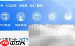 支付宝会员积分用途解析