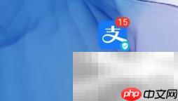 支付宝会员积分用途解析