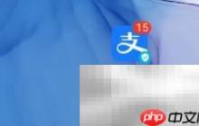 支付宝会员积分用途解析