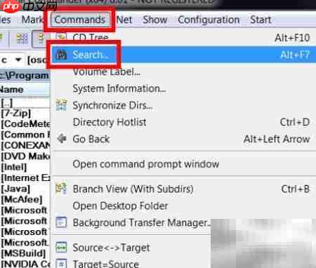 Total Commander文本搜索技巧