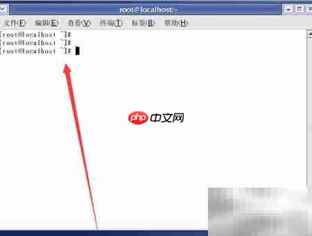 Linux命令选项详解