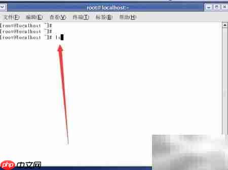 Linux命令选项详解