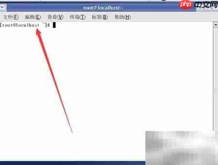 Linux命令选项详解