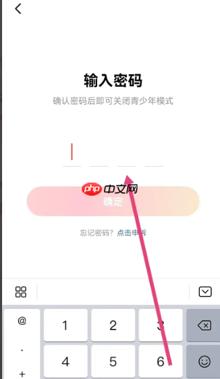 红果免费短剧青少年模式关闭方法