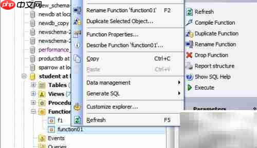 Maestro复制函数使用指南