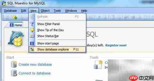 Maestro复制函数使用指南