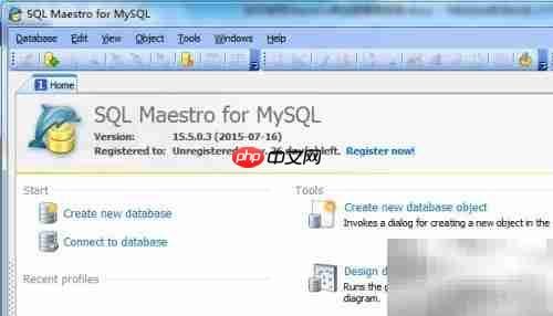 maestro复制函数使用指南